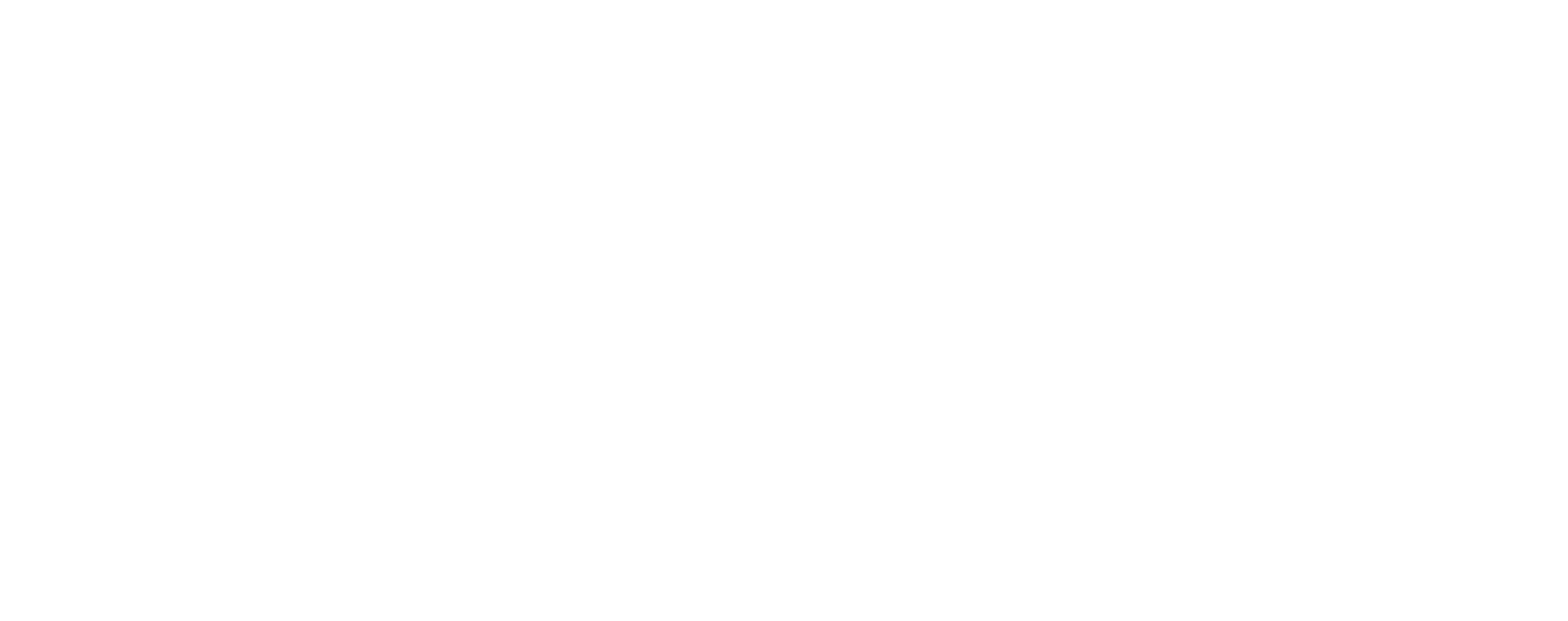 Briscey Media